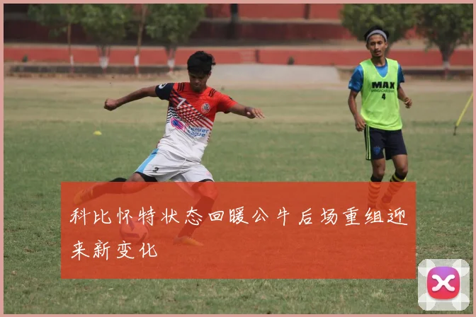 科比怀特状态回暖公牛后场重组迎来新变化