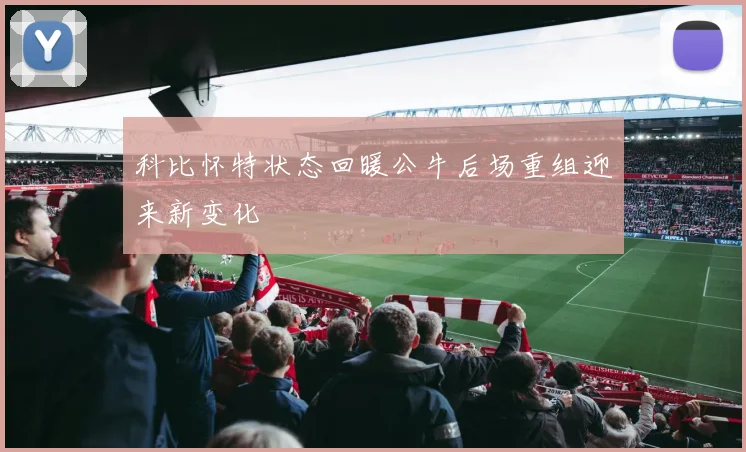 科比怀特状态回暖公牛后场重组迎来新变化