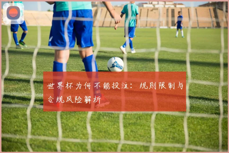 世界杯为何不能投注：规则限制与合规风险解析