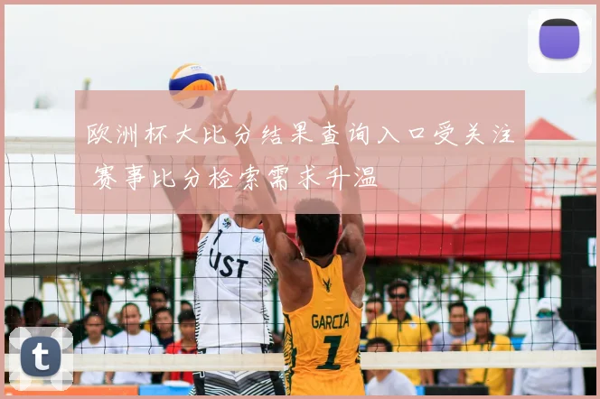 欧洲杯大比分结果查询入口受关注 赛事比分检索需求升温