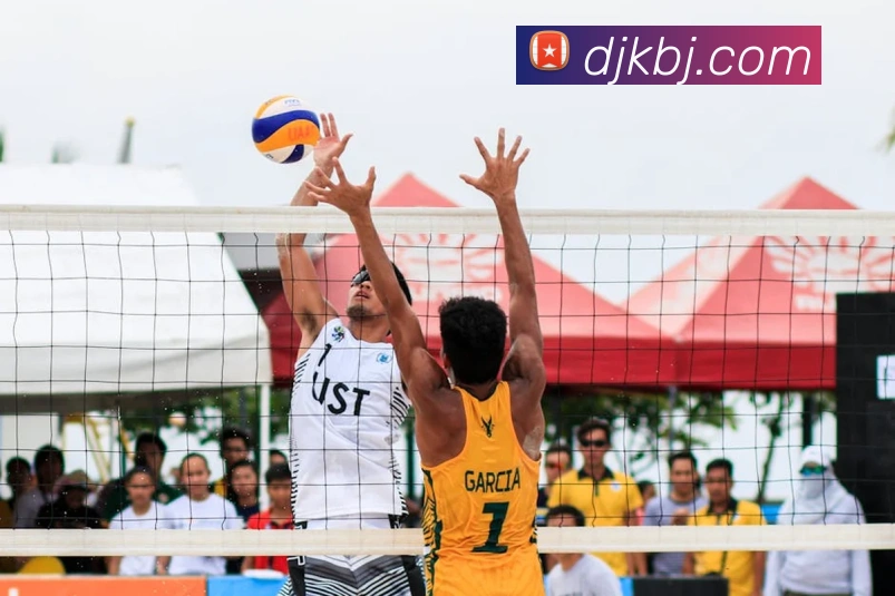 多媒体互动体验